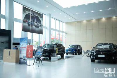 嘉(jia)誠汽(qi)車(che)王敦海(hai) 中(zhong)國豪華(hua)車(che)市(shi)場，壹定有(you)WEY壹席(xi)之地(di)